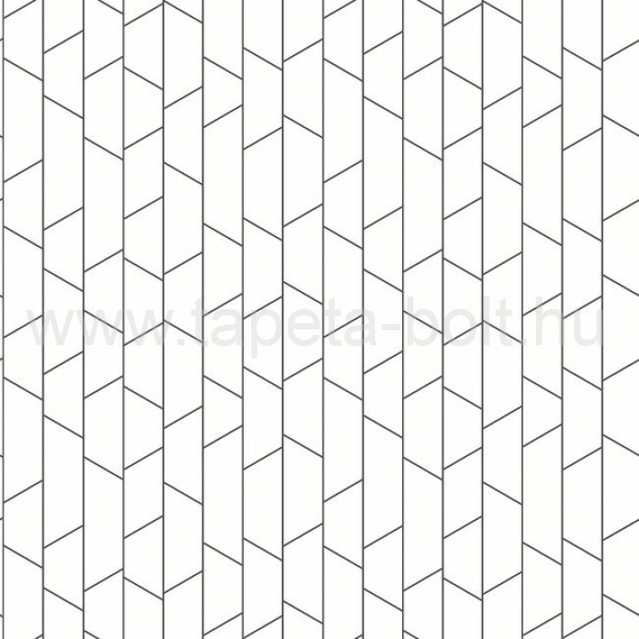 Boras Graphic 4738