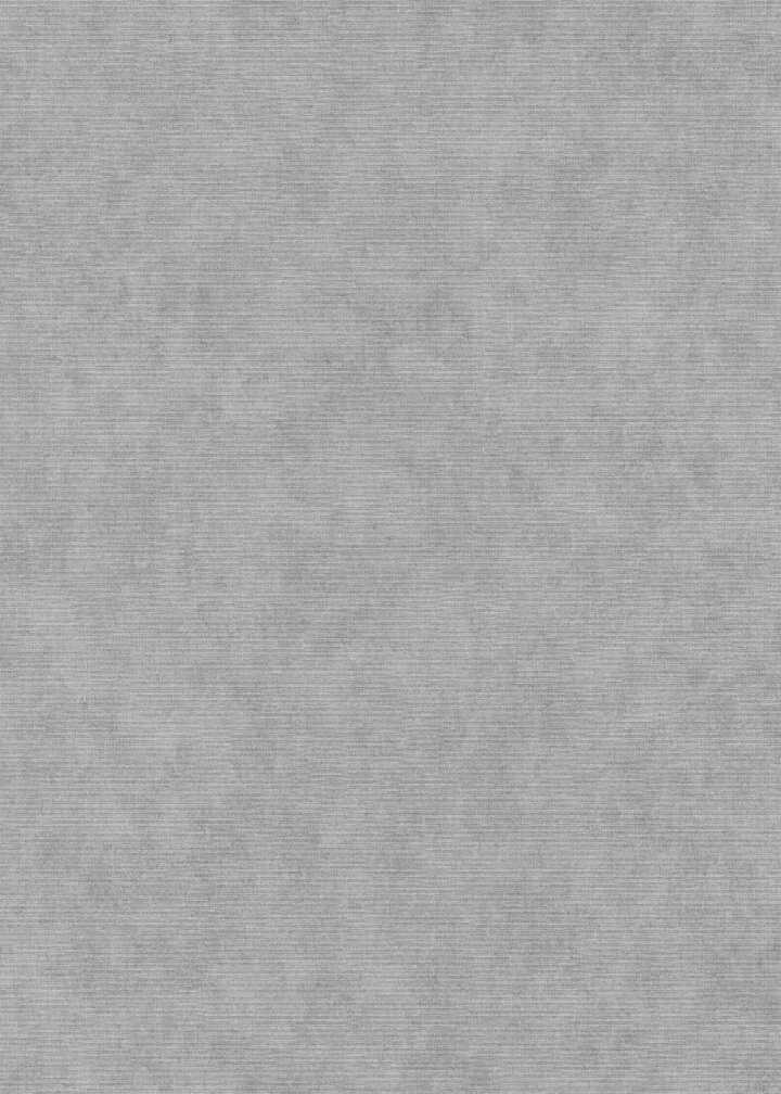 Erismann 10473-10