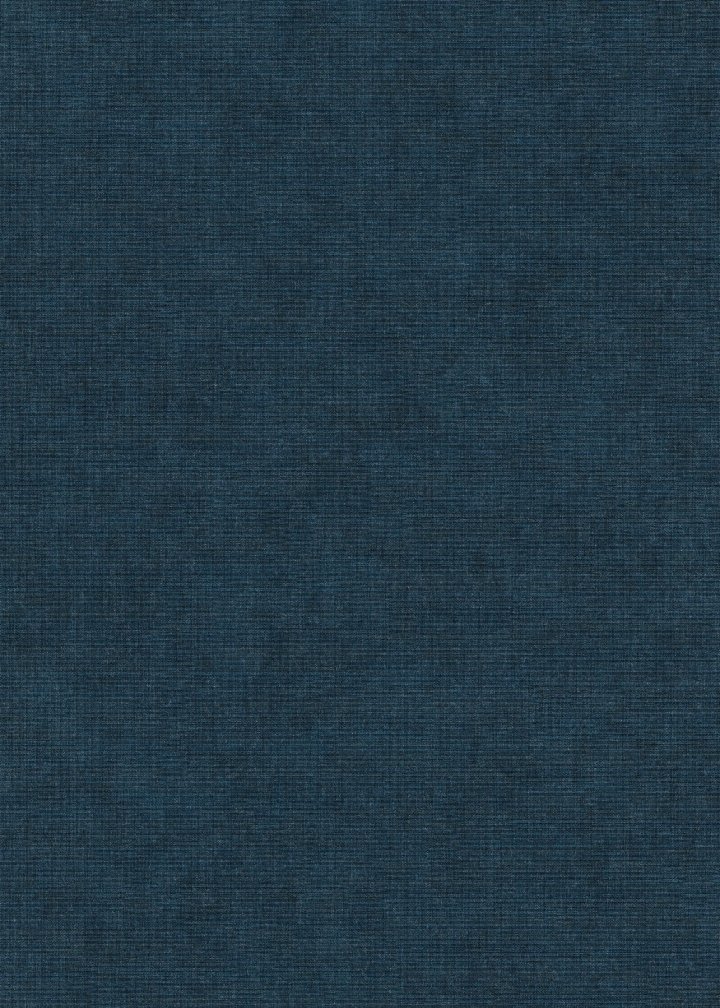 Erismann 10473-19