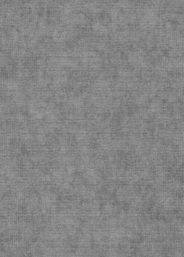 Erismann 10473-29