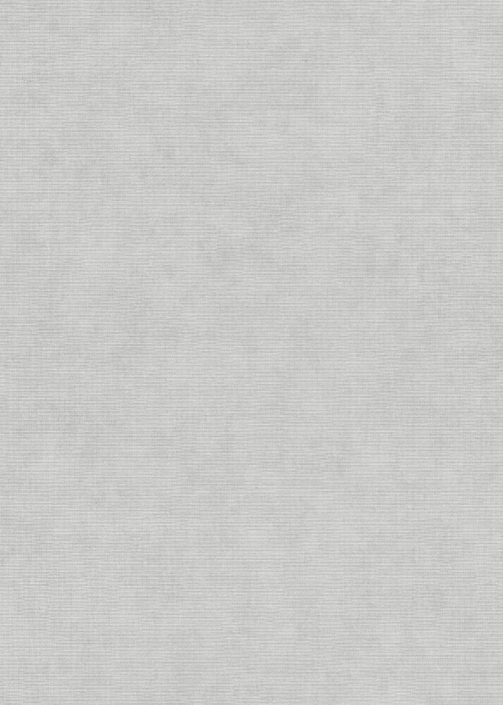 Erismann 10473-31