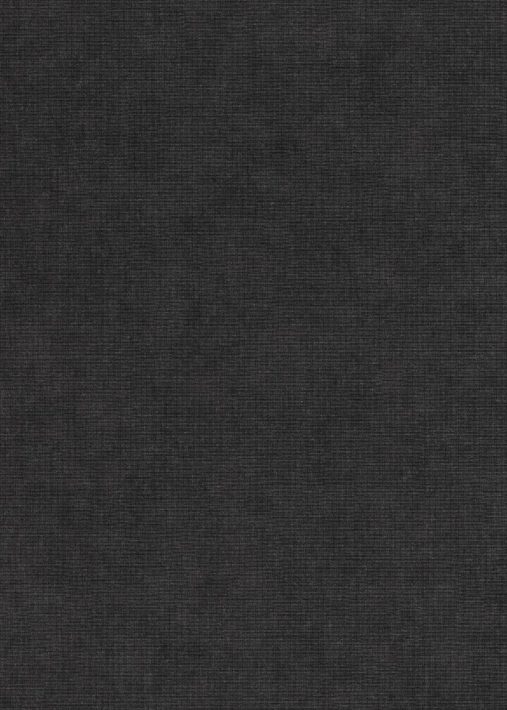 Erismann 10473-47
