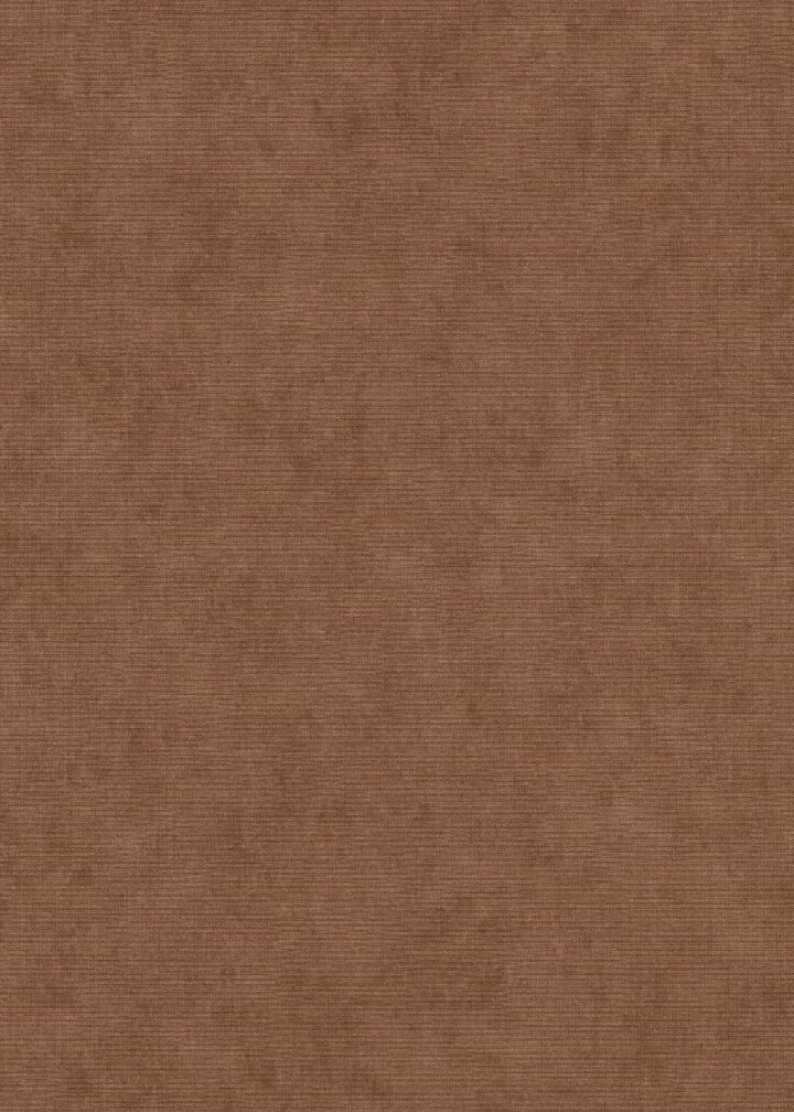 Erismann 10473-48