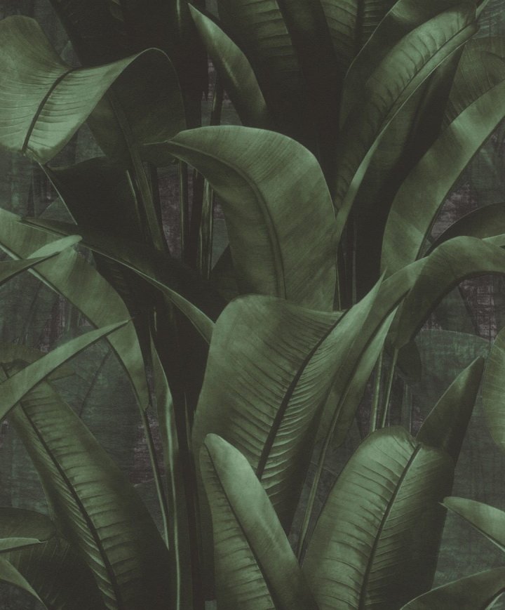 Bact to Nature